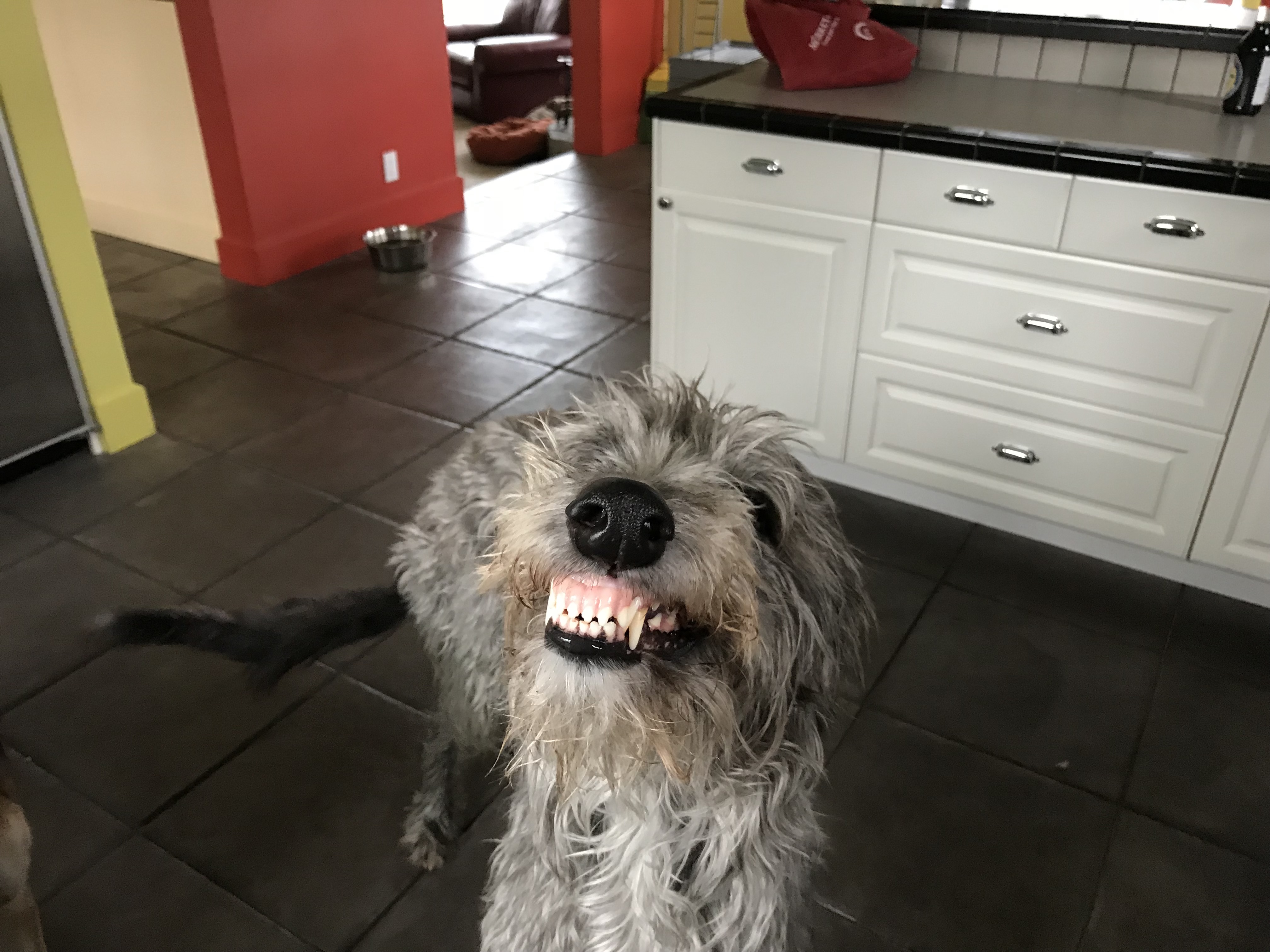 P1gMqqXDQT6yVLAX%fOIng