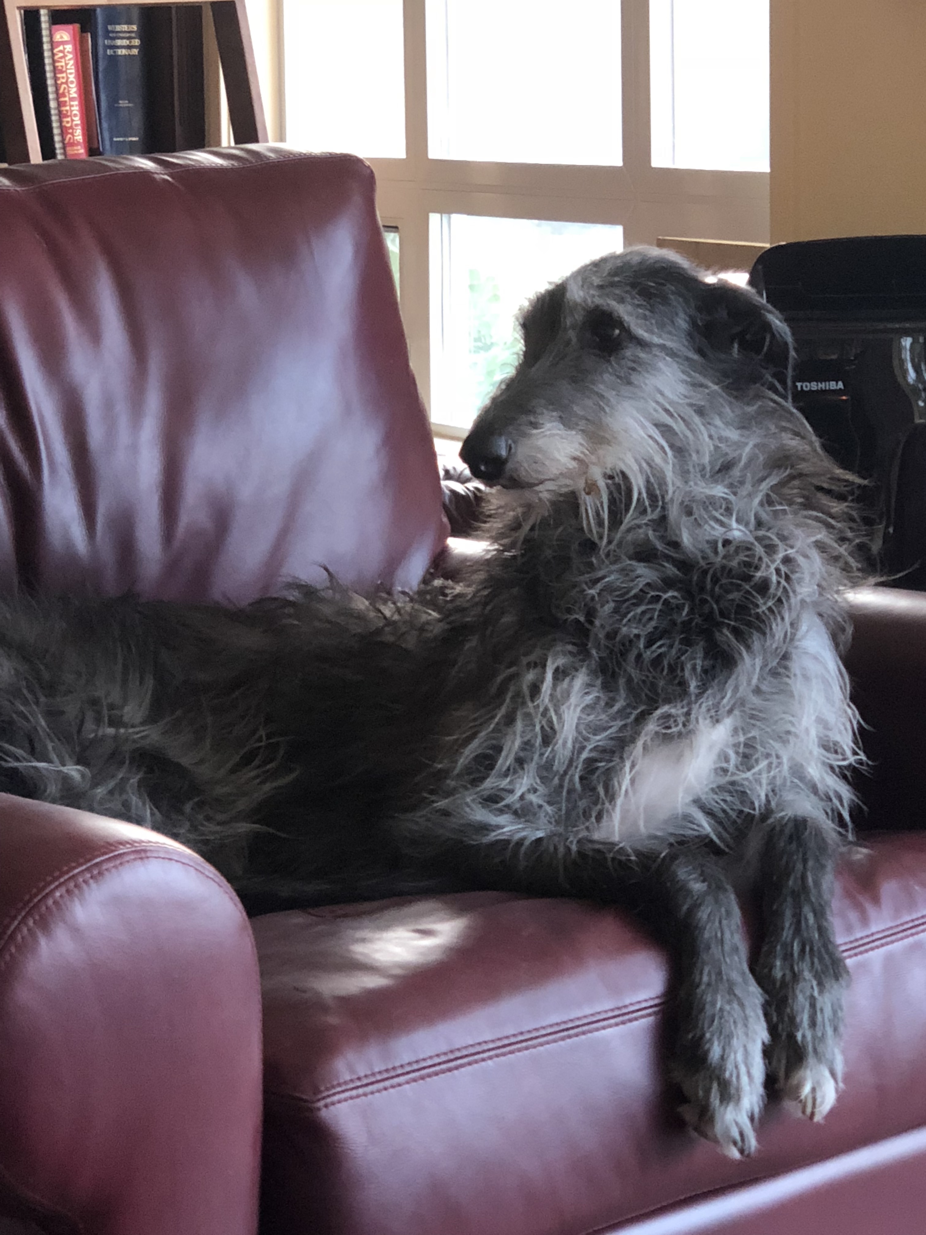 Z%vBkbZ7QuKCadhvyueGXQ