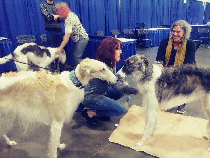 50899048_1820309084735510_338347159822794752_o