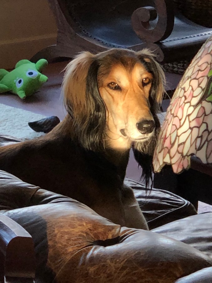 udesdf5hs4y4+rxn7depra