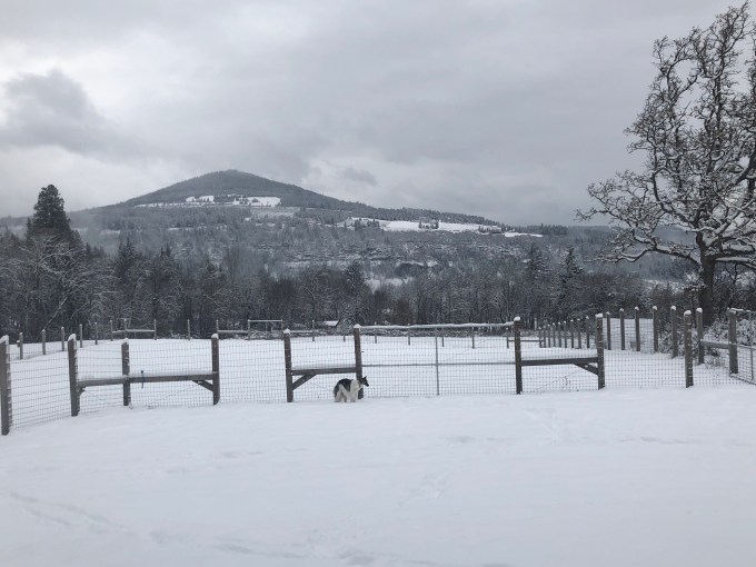 6PqrthiOQy686MSUK+%qxA