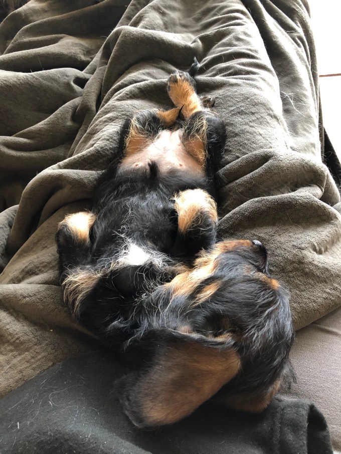 KG6B4usgRfivIaE7R5oBDA